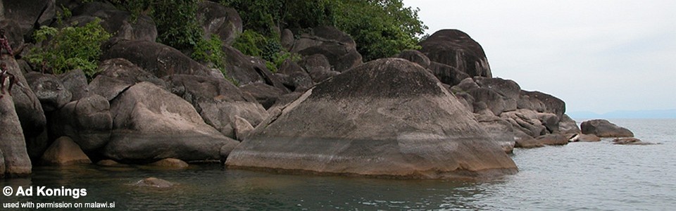 Ndonga, Lake Malawi, Tanzania
