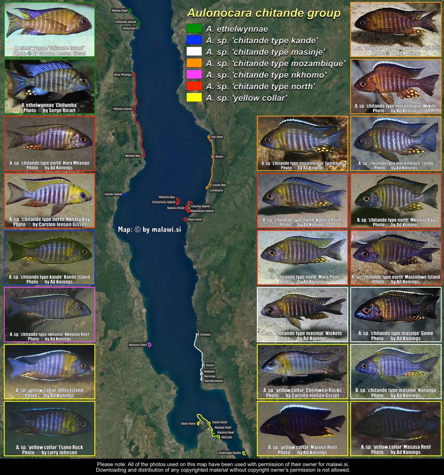 Aulonocara chitande group distribution map