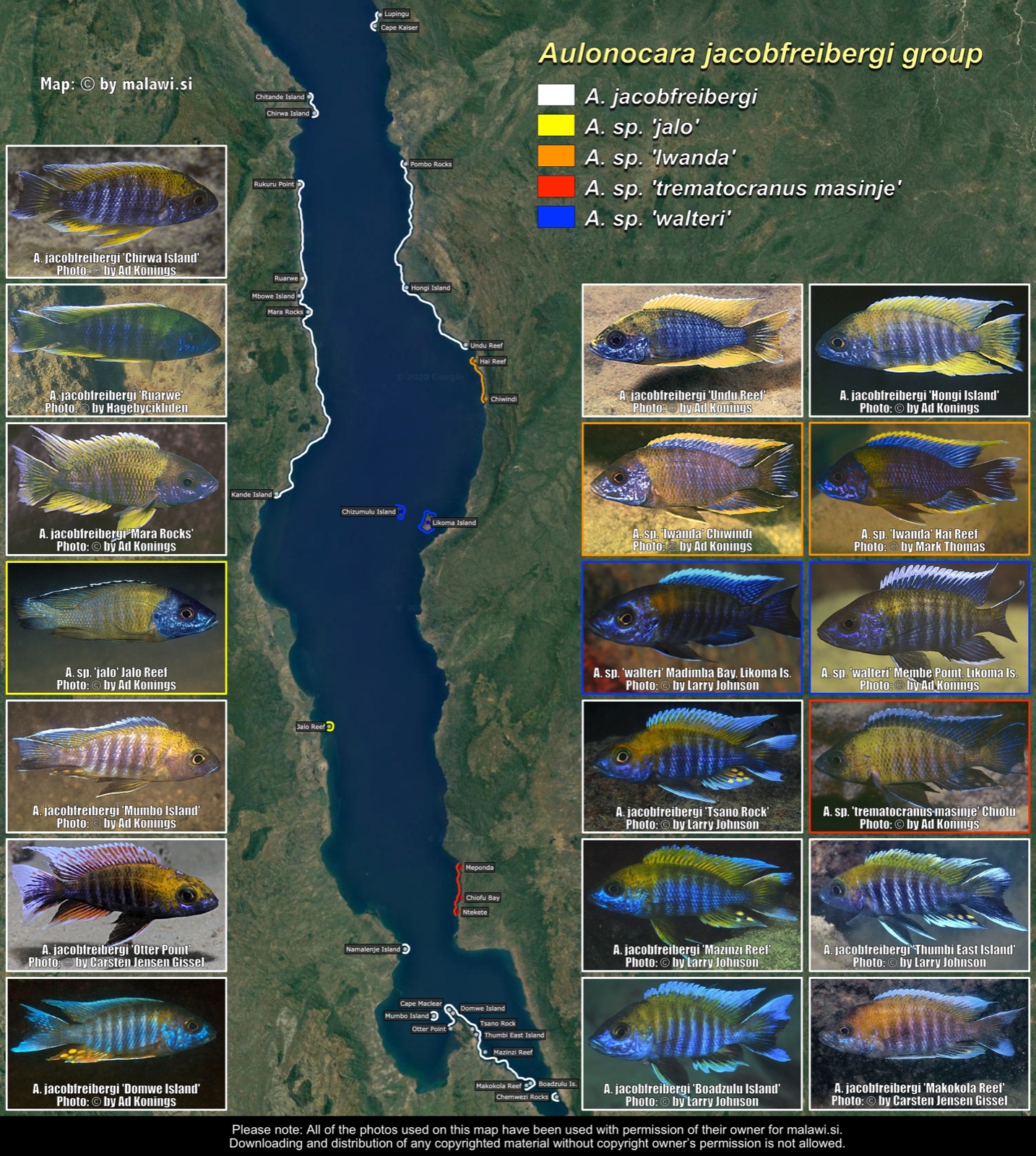 Aulonocara jacobfreibergi group distribution map