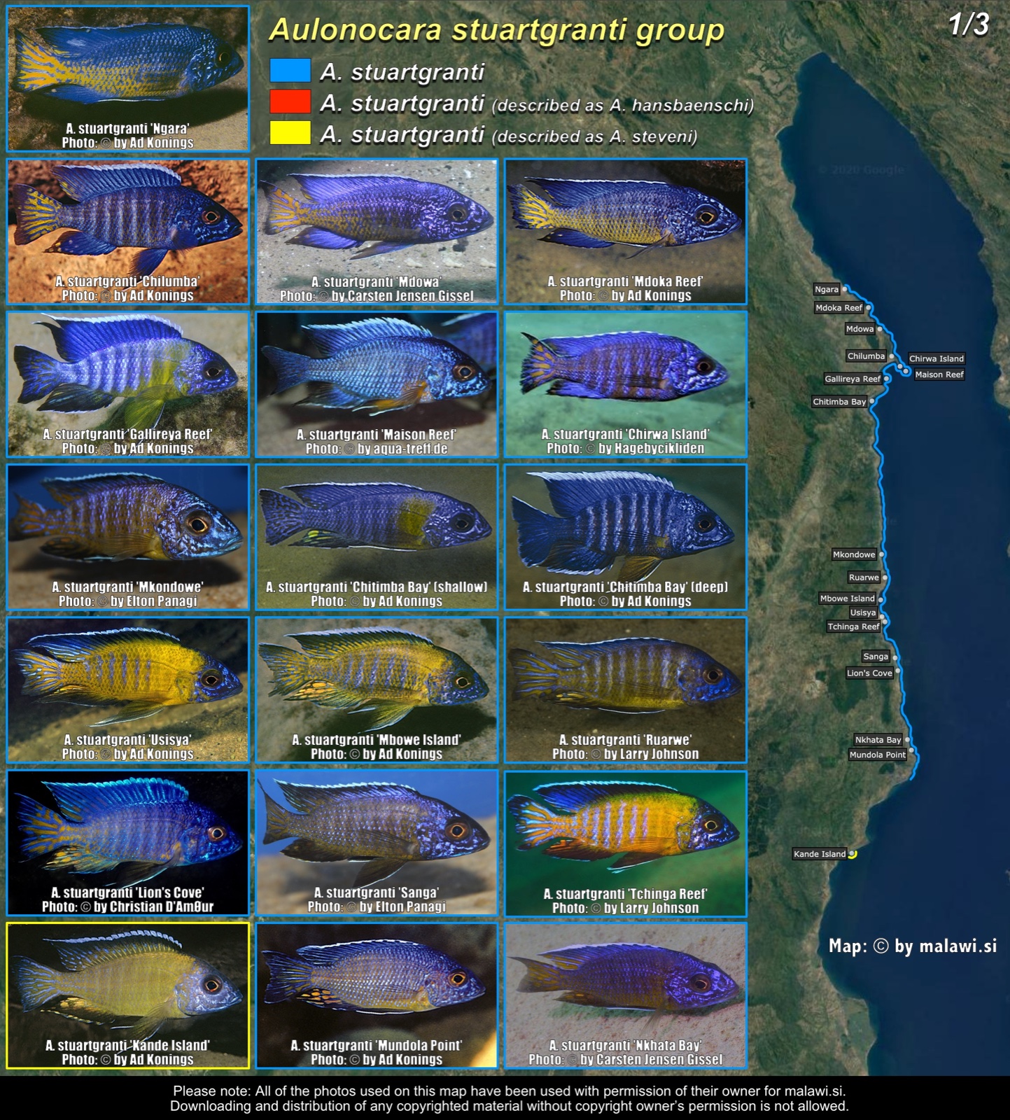 Aulonocara stuartgranti group (1/3) distribution map