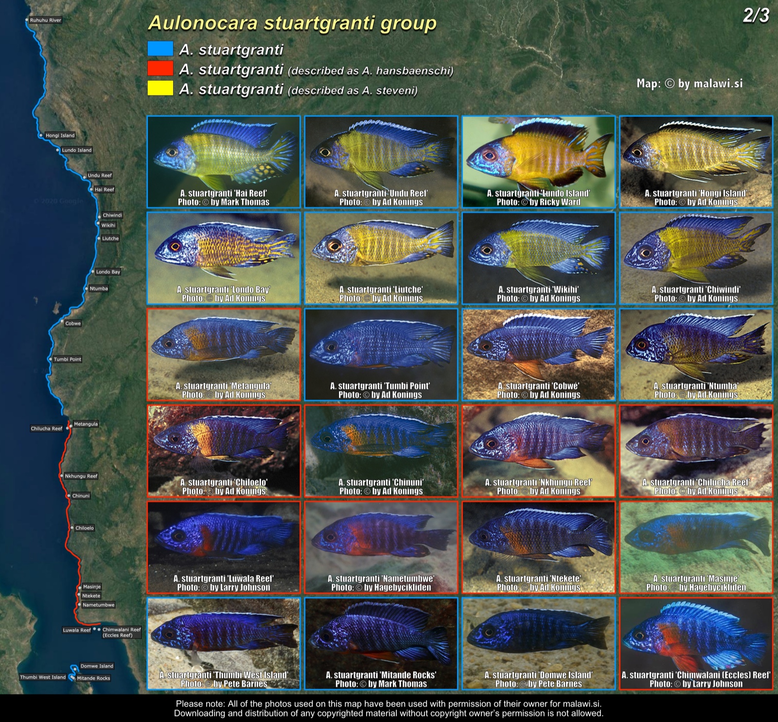 Aulonocara stuartgranti group (2/3) distribution map