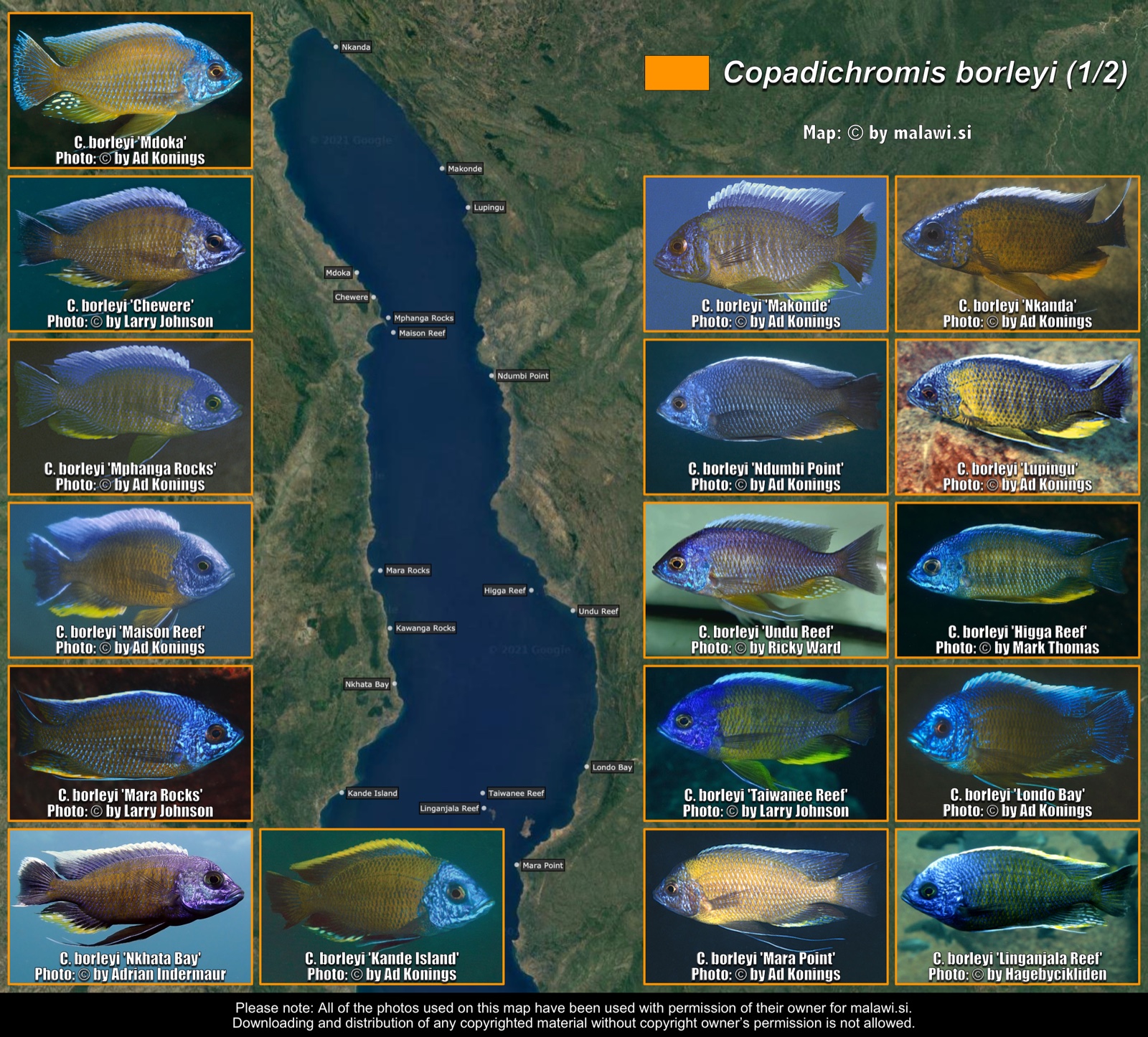 Copadichromis borleyi (1/2) distribution map