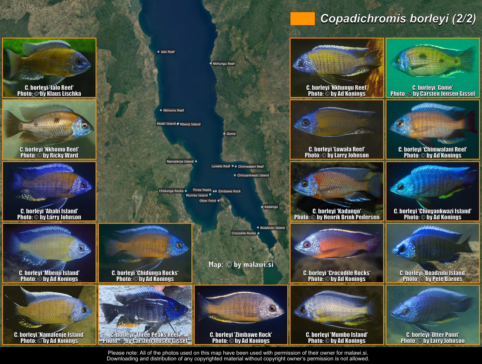 Copadichromis borleyi (2/2) distribution map