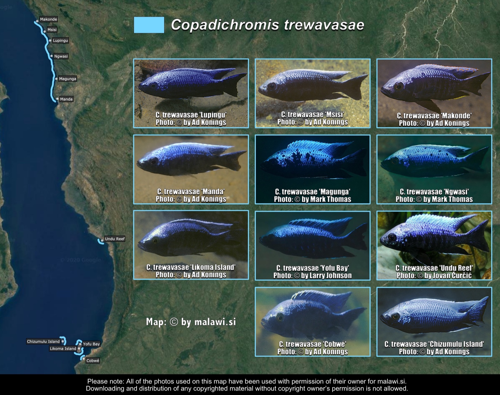 Copadichromis trewavasae distribution map