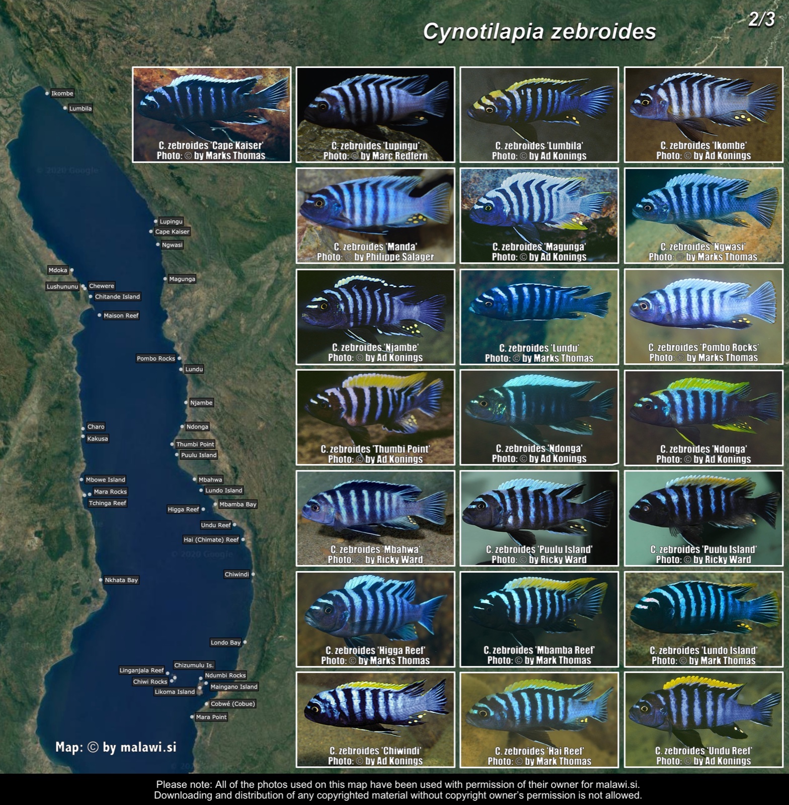 Cynotilapia zebroides (2/3) distribution map