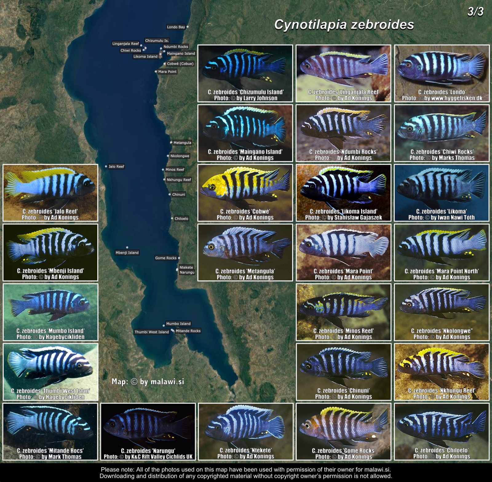 Cynotilapia zebroides (3/3) distribution map