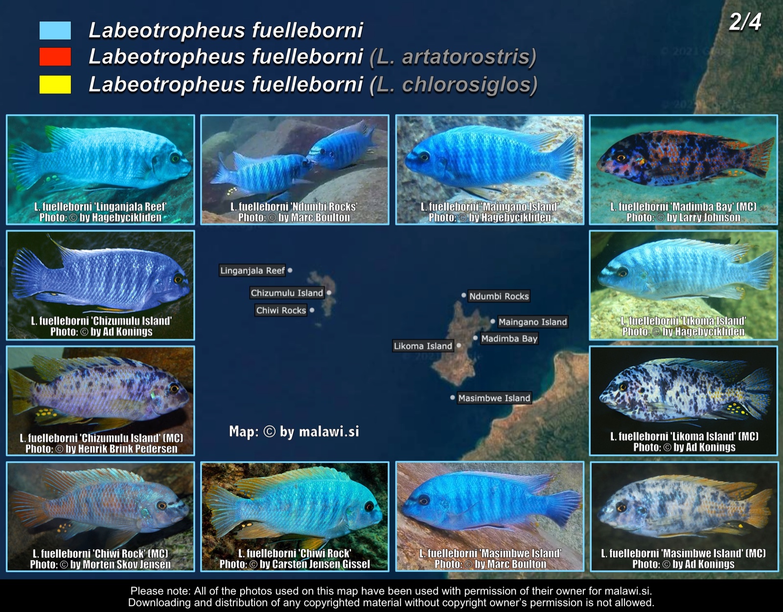 Labeotropheus fuelleborni (2/4) distribution map