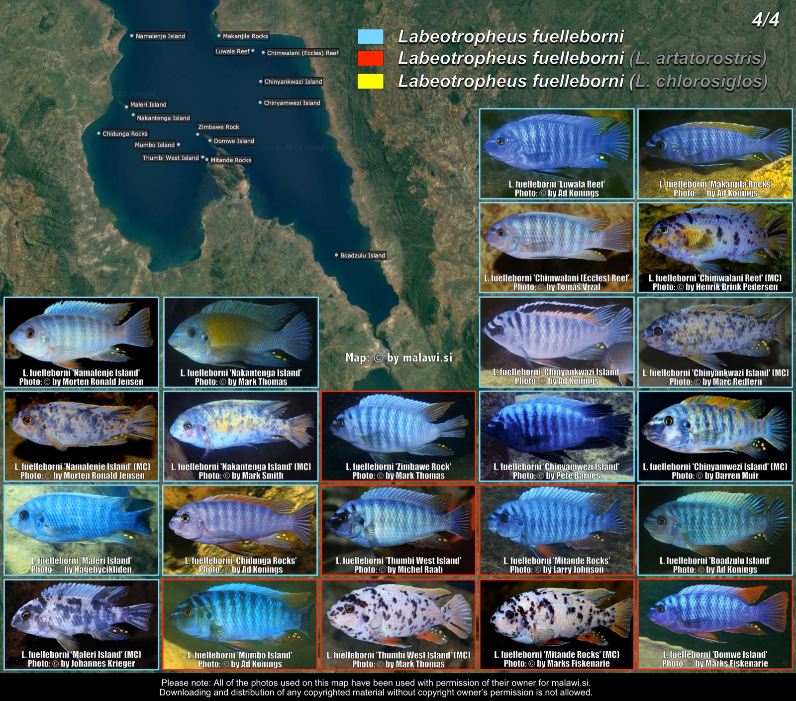 Labeotropheus fuelleborni (4/4) distribution map