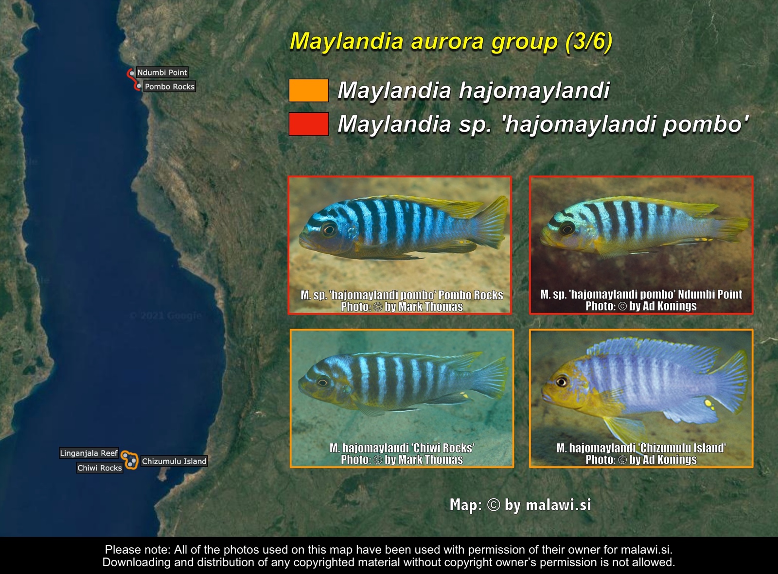 Maylandia aurora group (3/6) distribution map