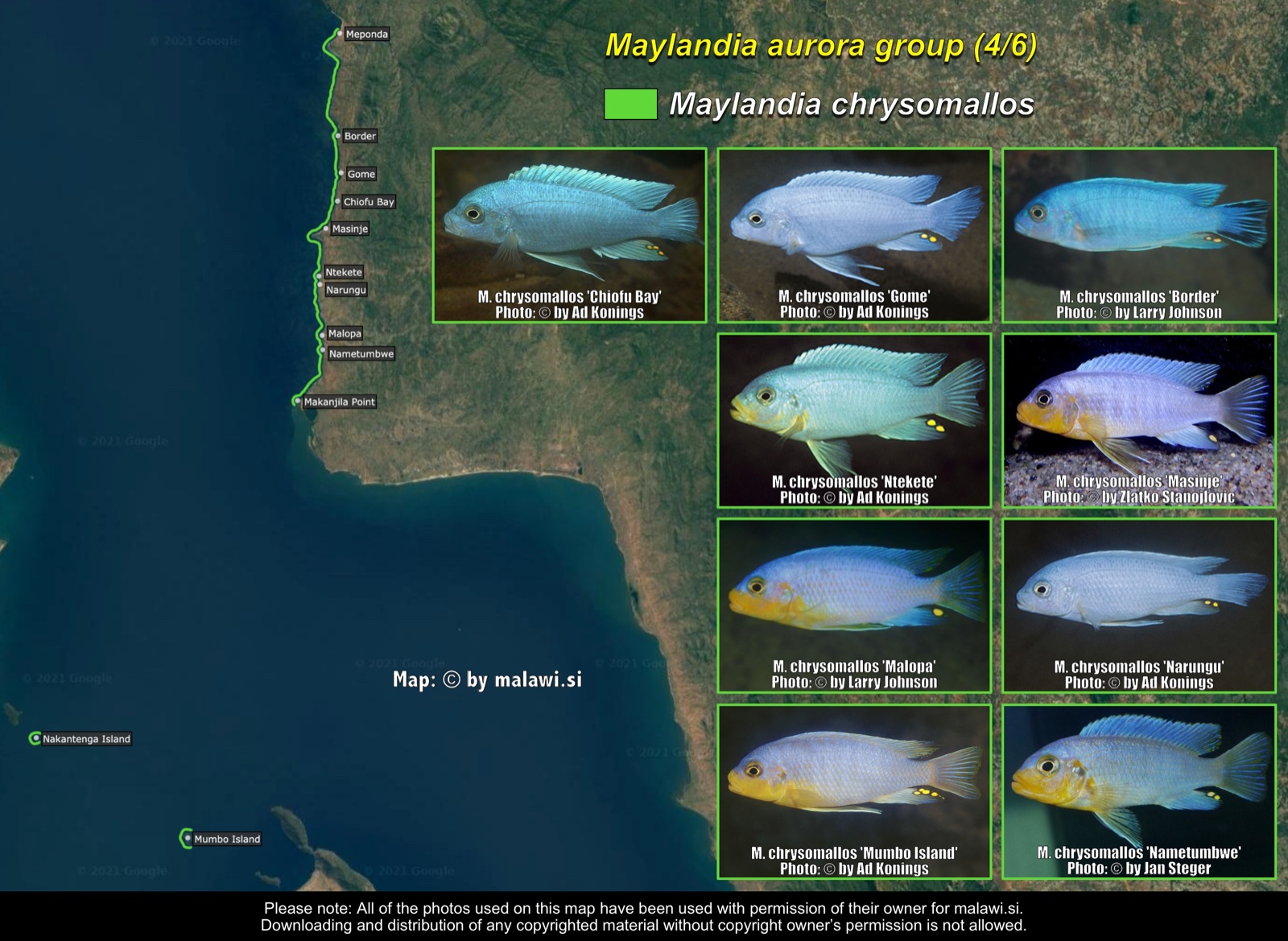 Maylandia aurora group (4/6) distribution map