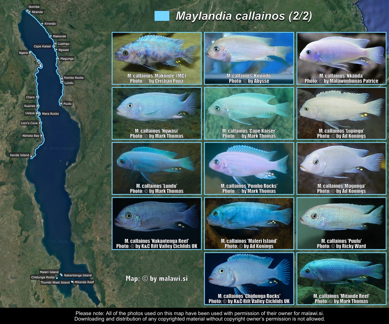 Maylandia callainos (2/2) distribution map