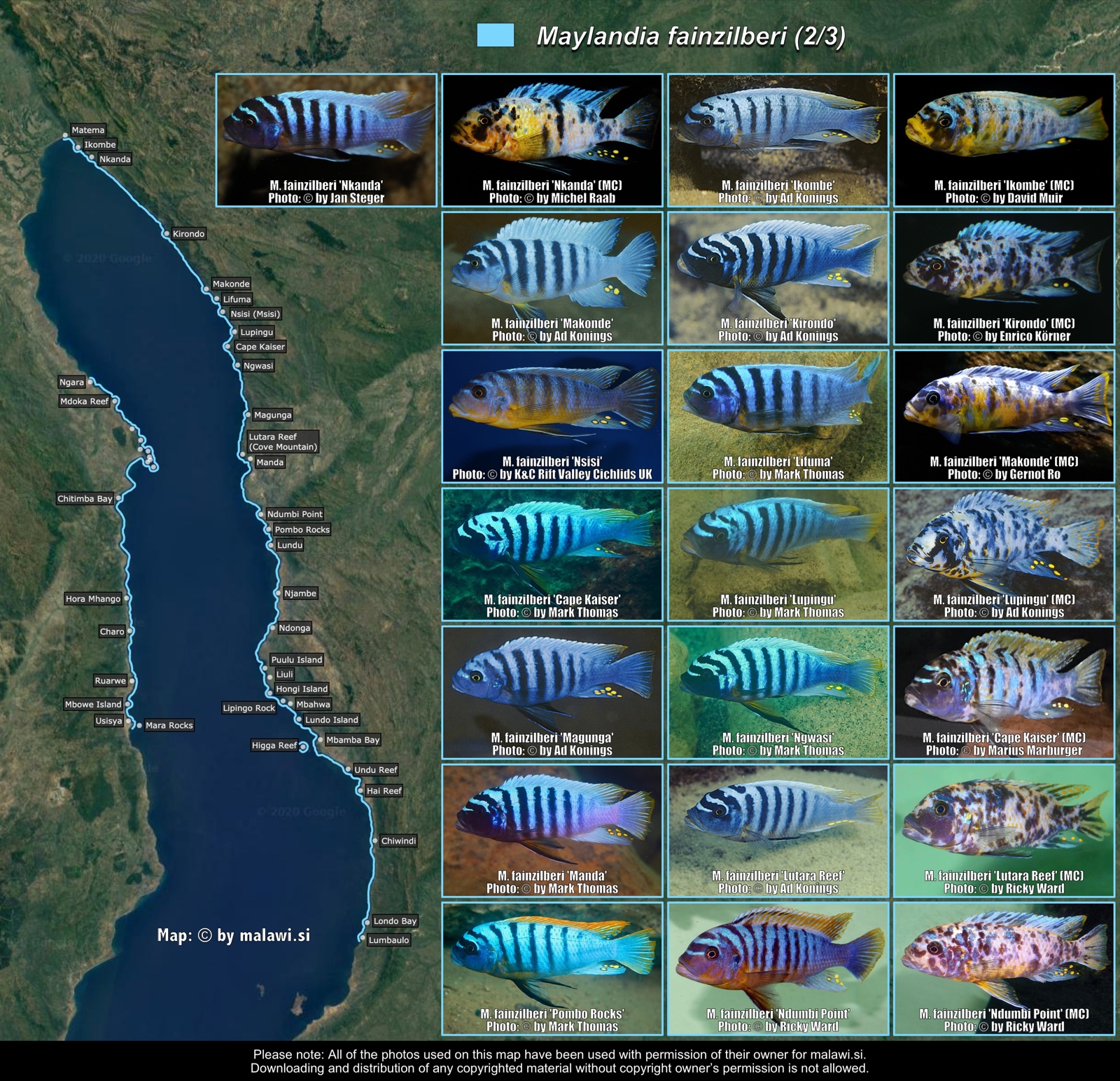 Maylandia fainzilberi (2/3) distribution map