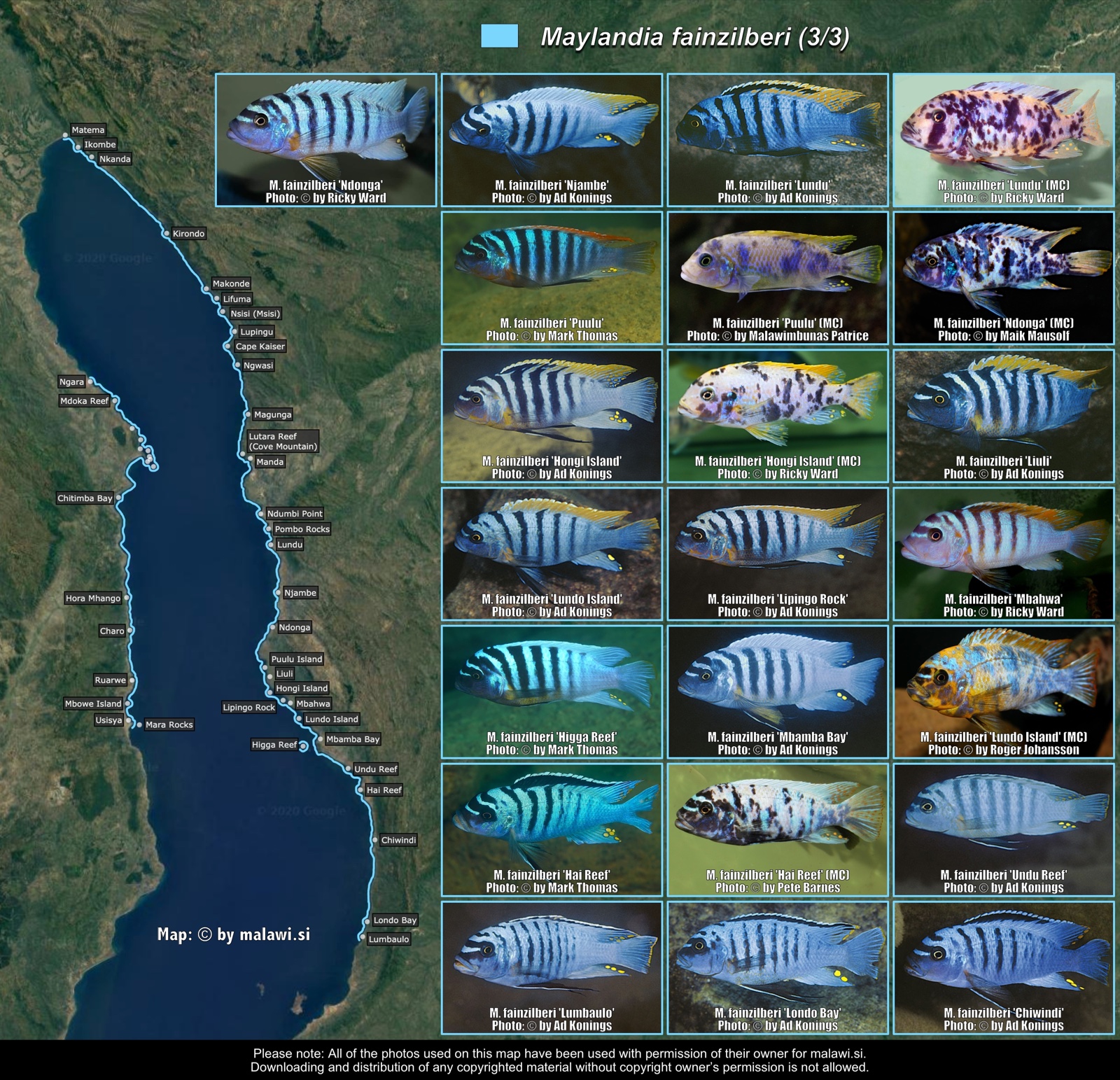 Maylandia fainzilberi (3/3) distribution map