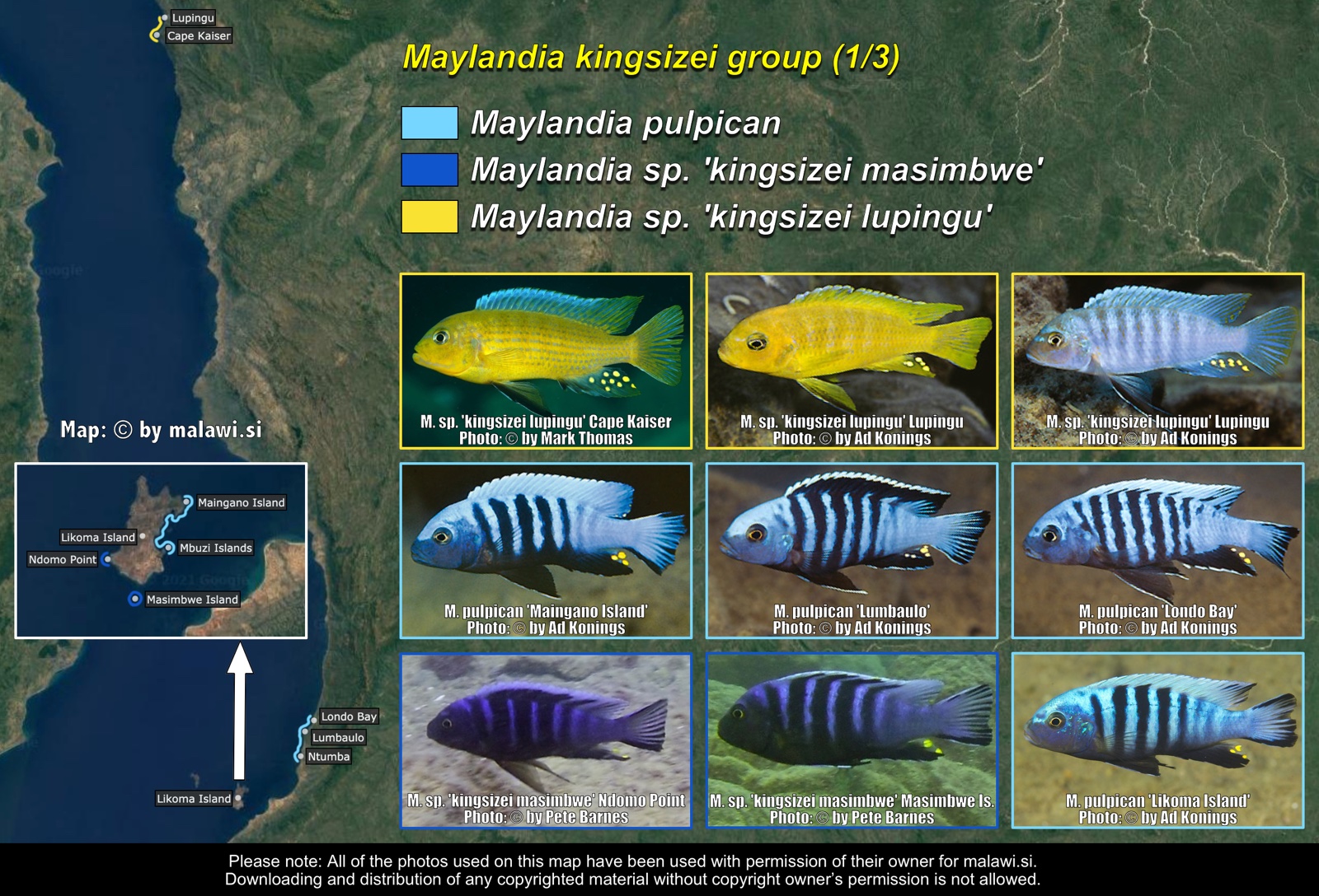 Maylandia kingsizei group (1/3) distribution map