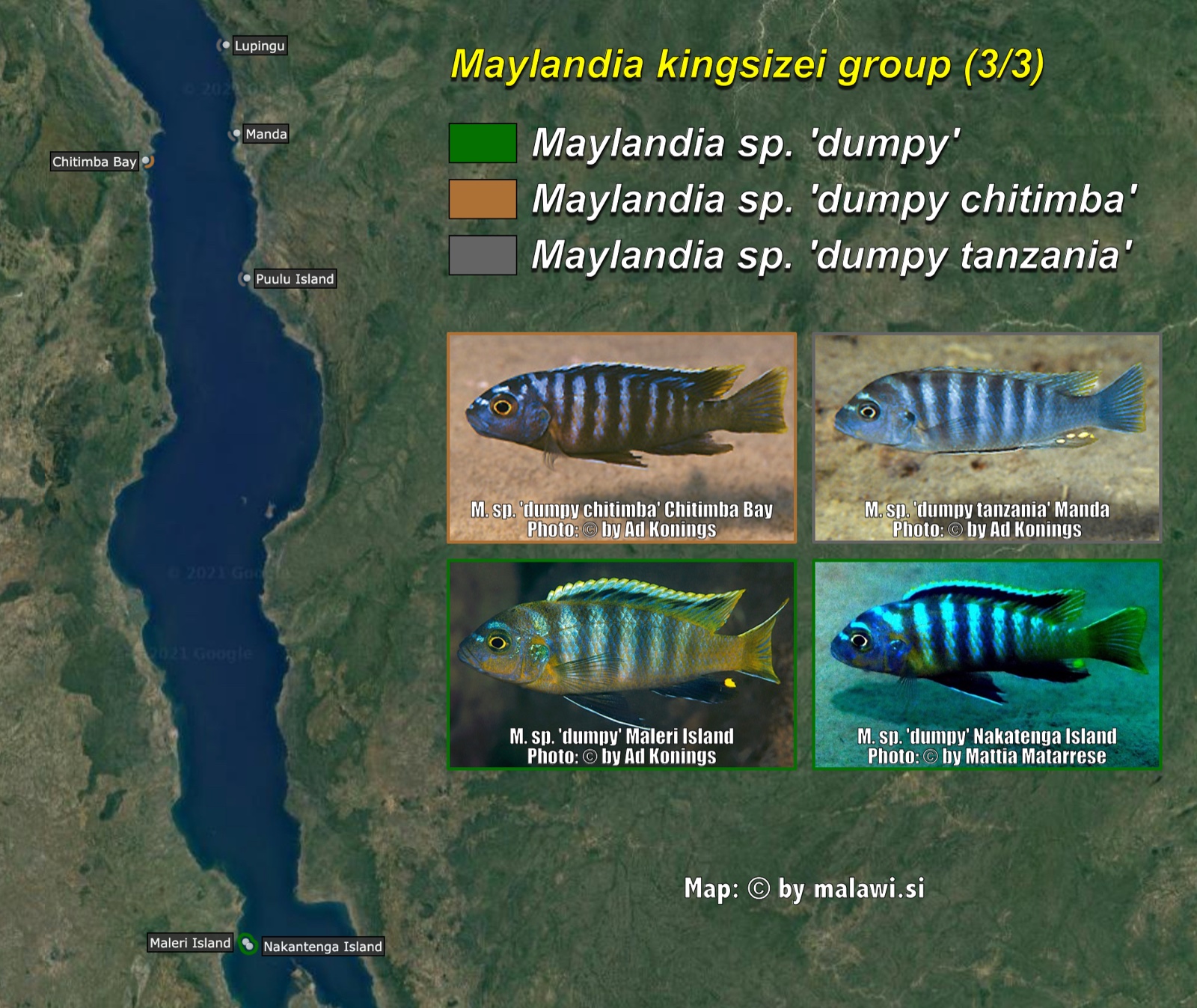 Maylandia kingsizei group (3/3) distribution map