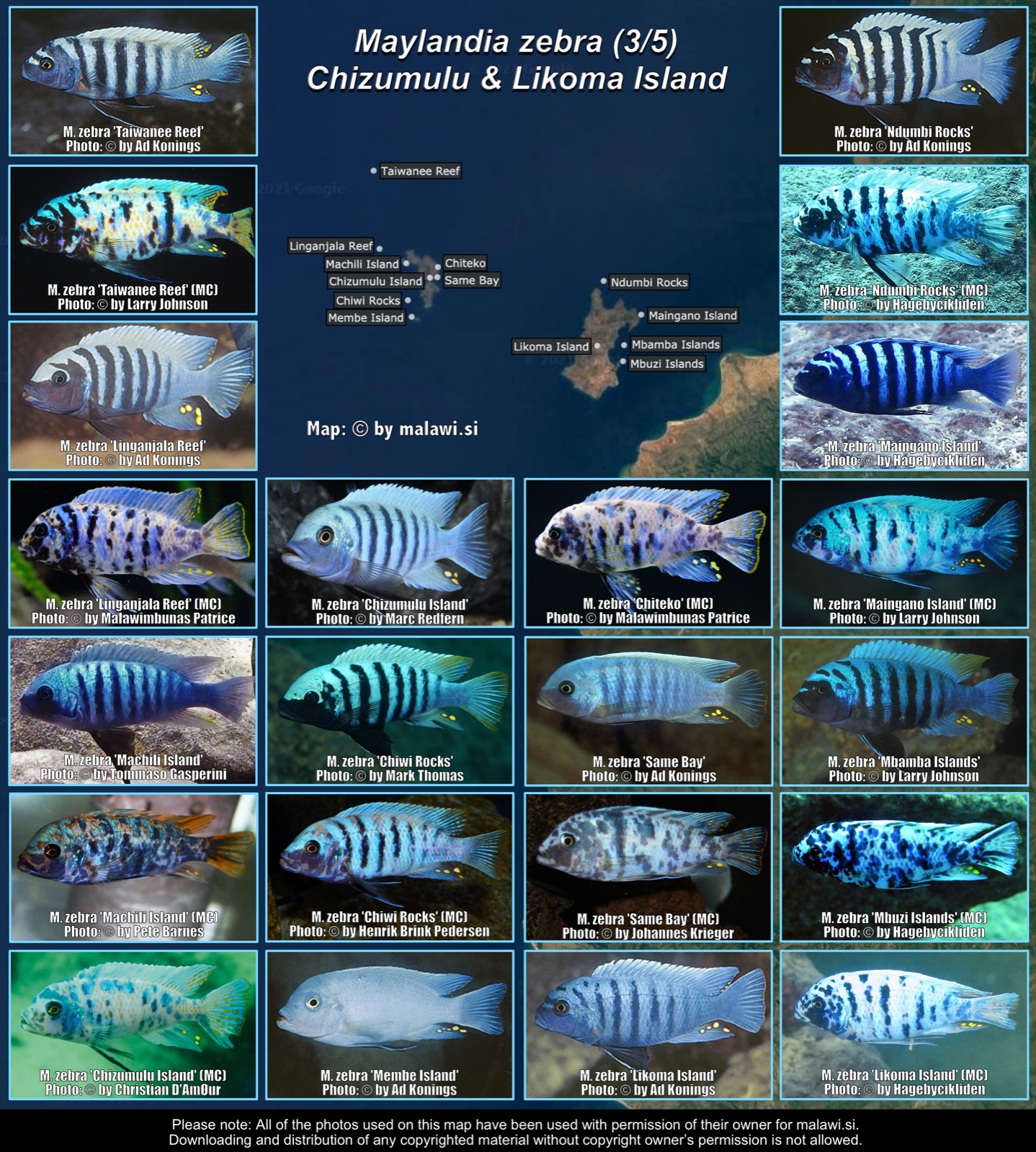 Maylandia zebra (3/5) distribution map