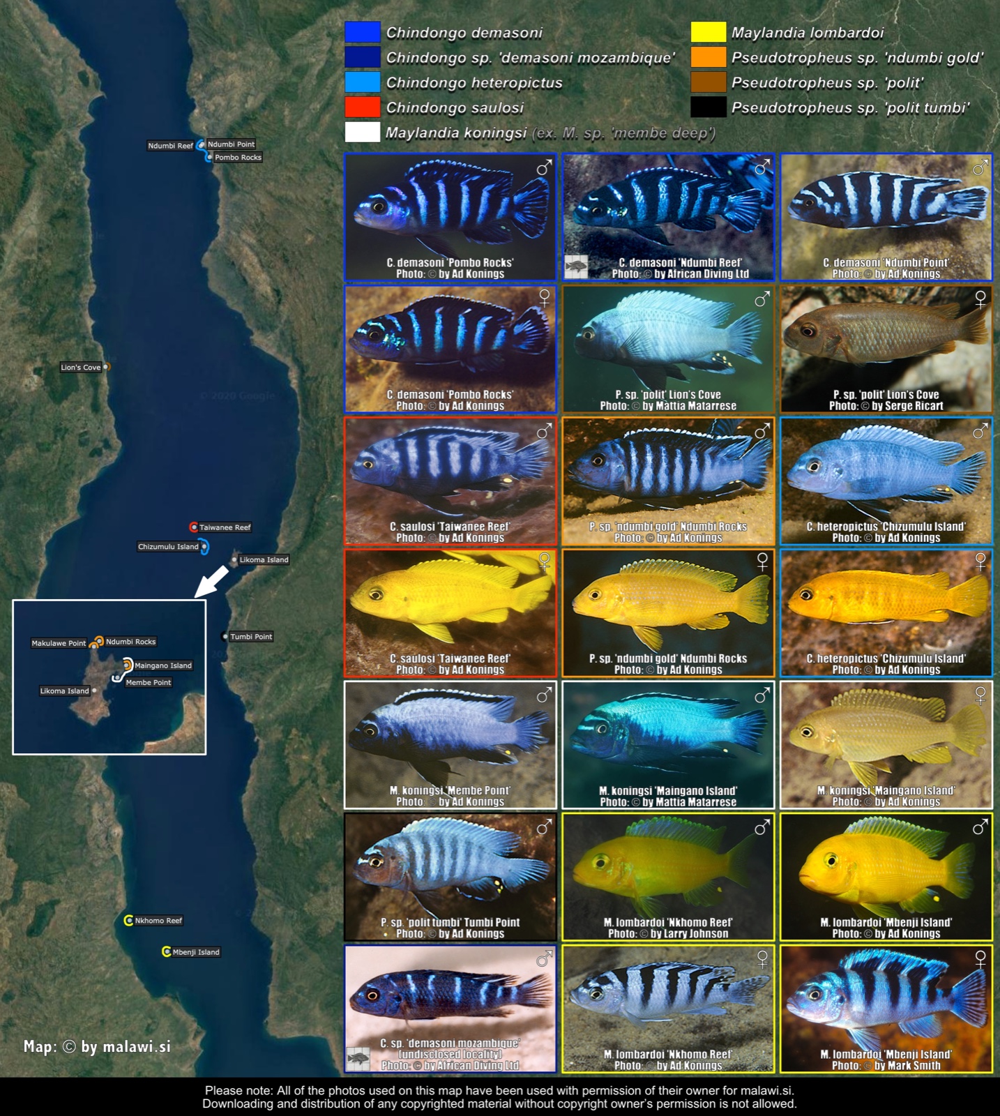 Miscellaneous Malawi Mbuna 01 distribution map