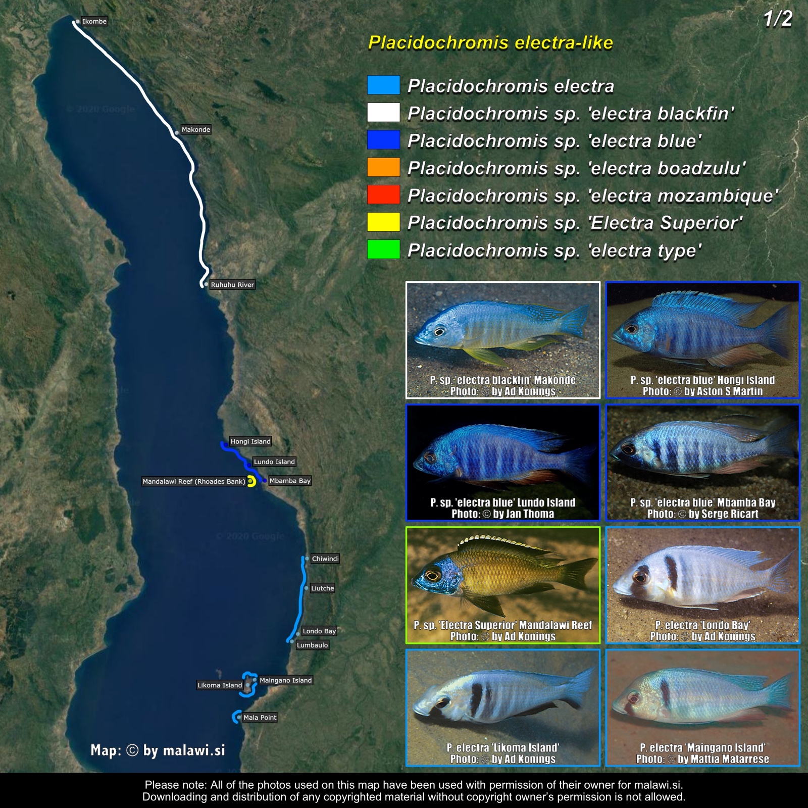 Placidochromis electra-like (1/2) distribution map