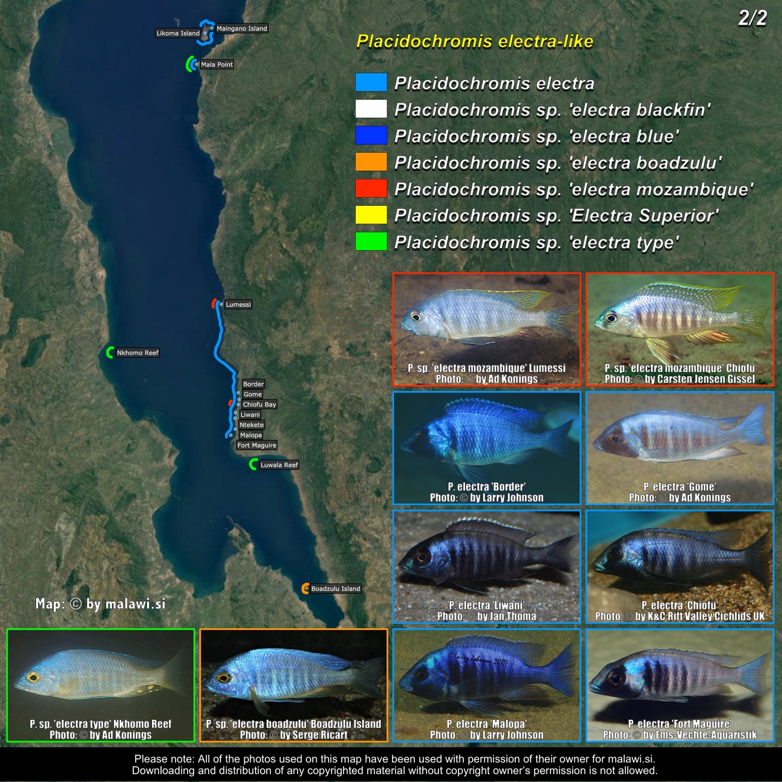 Placidochromis electra-like (2/2) distribution map