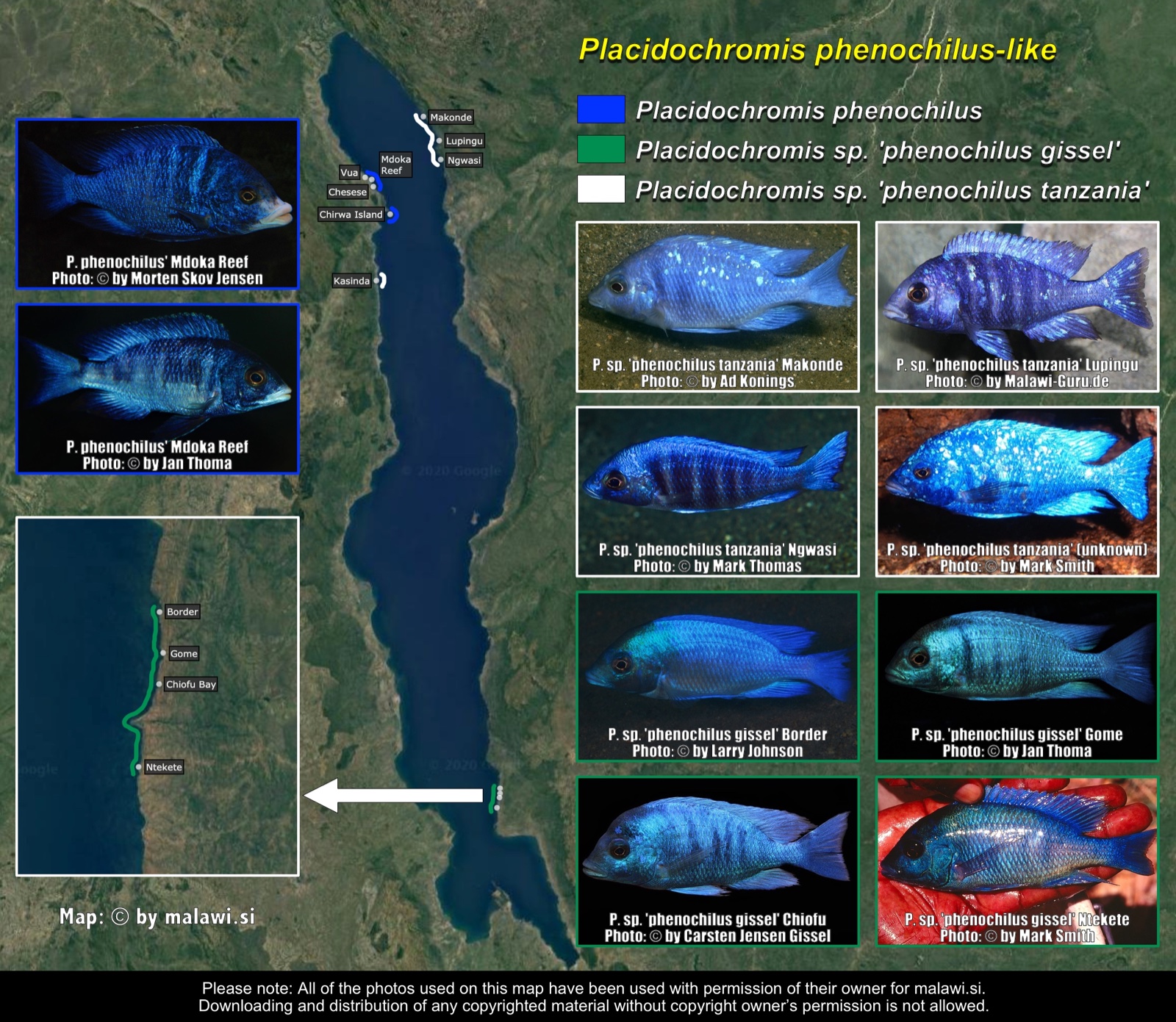 Placidochromis phenochilus-like distribution map