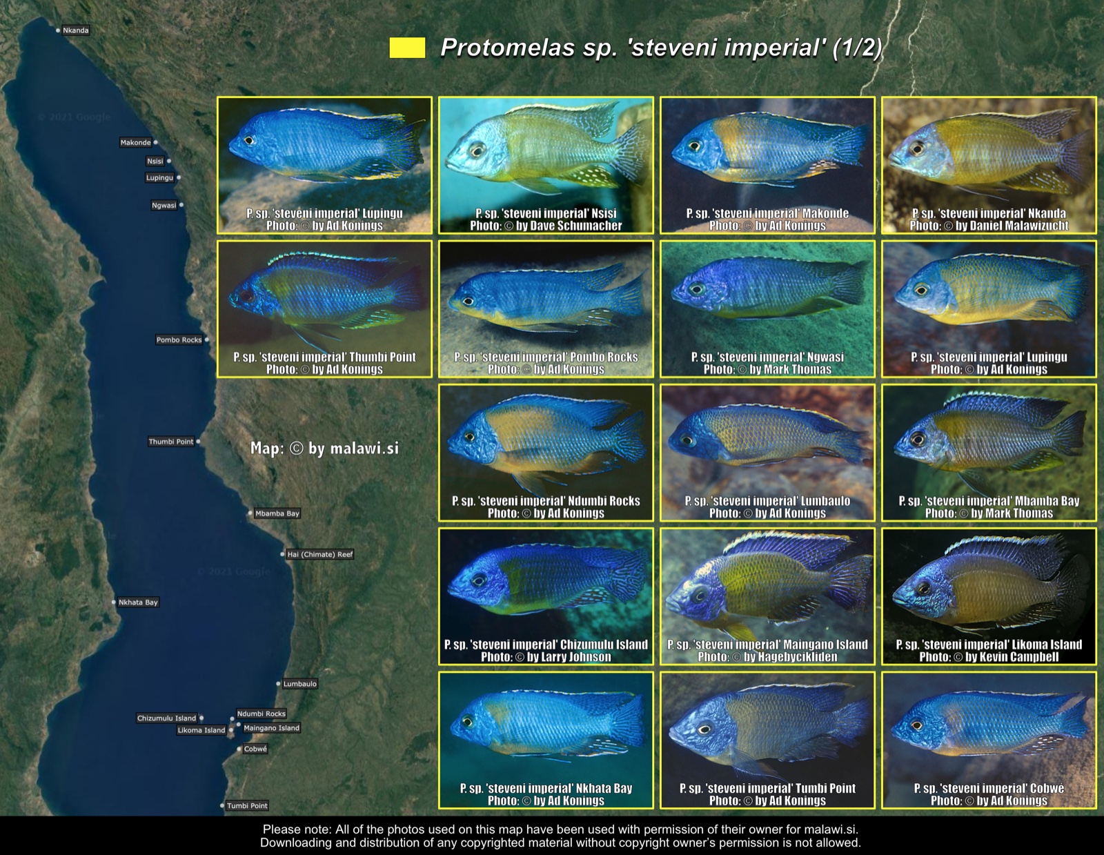 Protomelas sp. 'steveni imperial' (1/2) distribution map