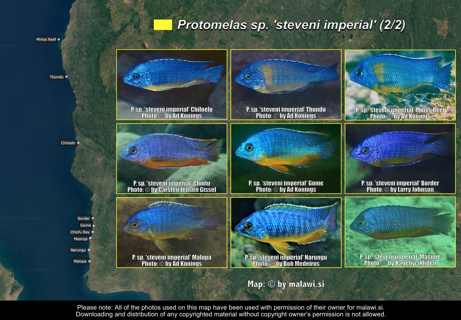 Protomelas sp. 'steveni imperial' (2/2) distribution map