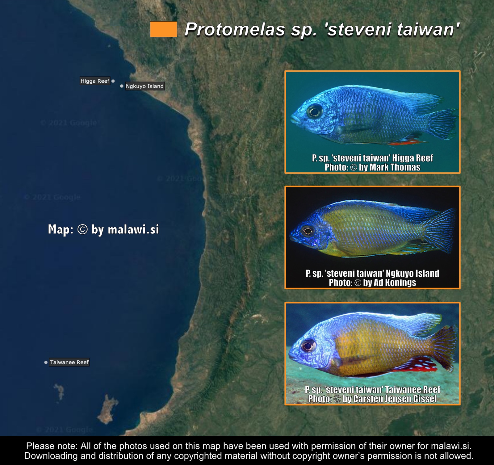 Protomelas sp. 'steveni taiwan' distribution map