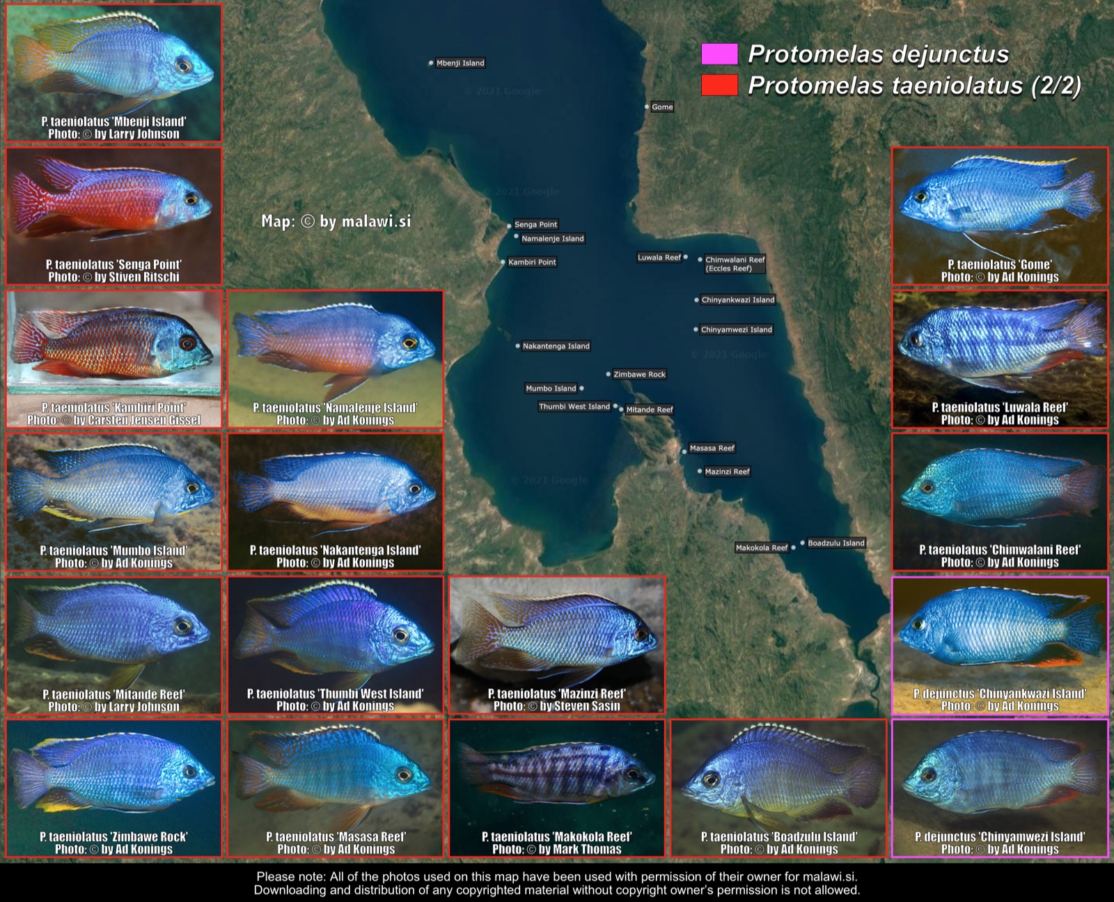 Protomelas dejunctus distribution map