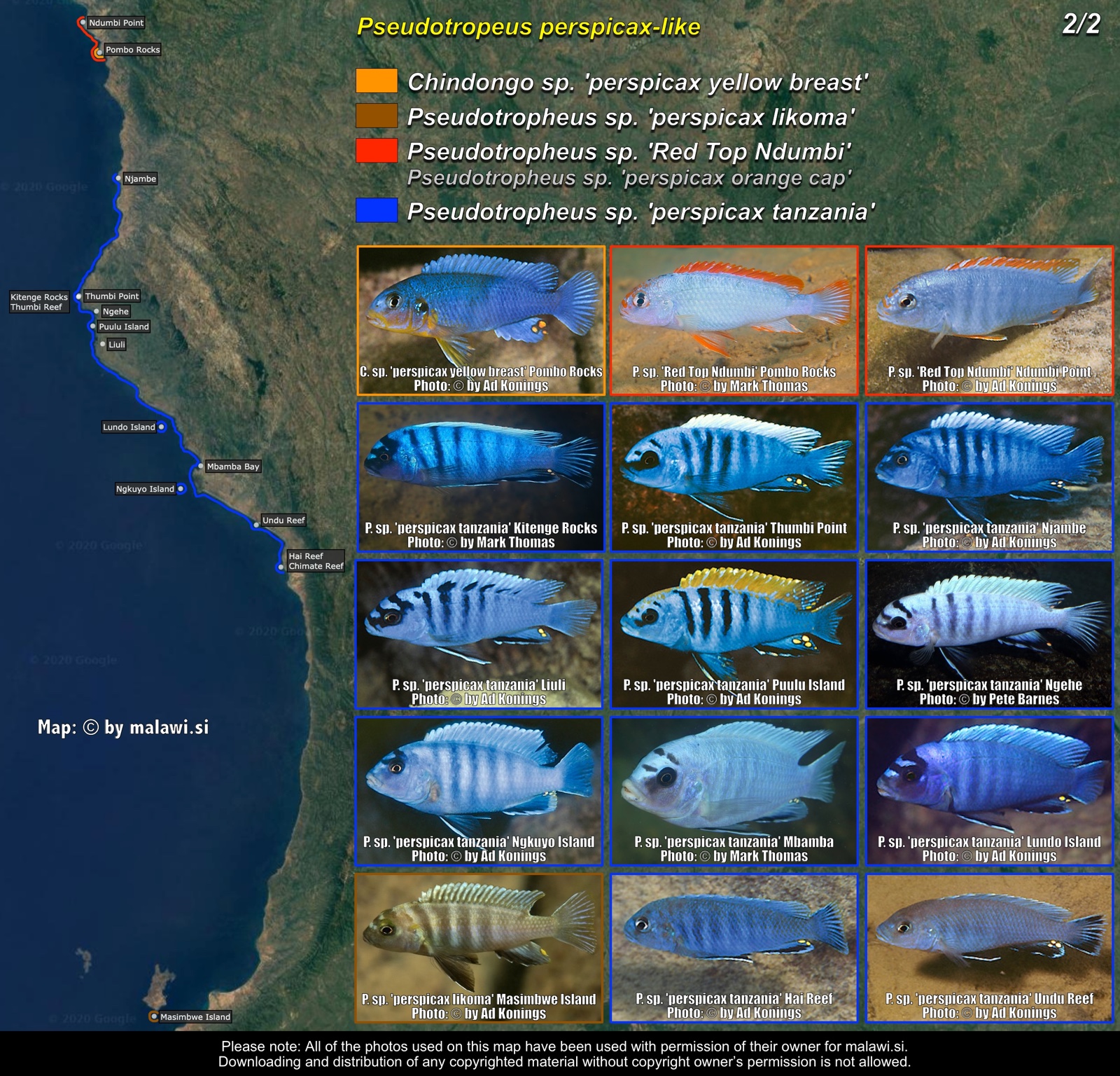 Pseudotropheus perspicax-like (2/2) distribution map