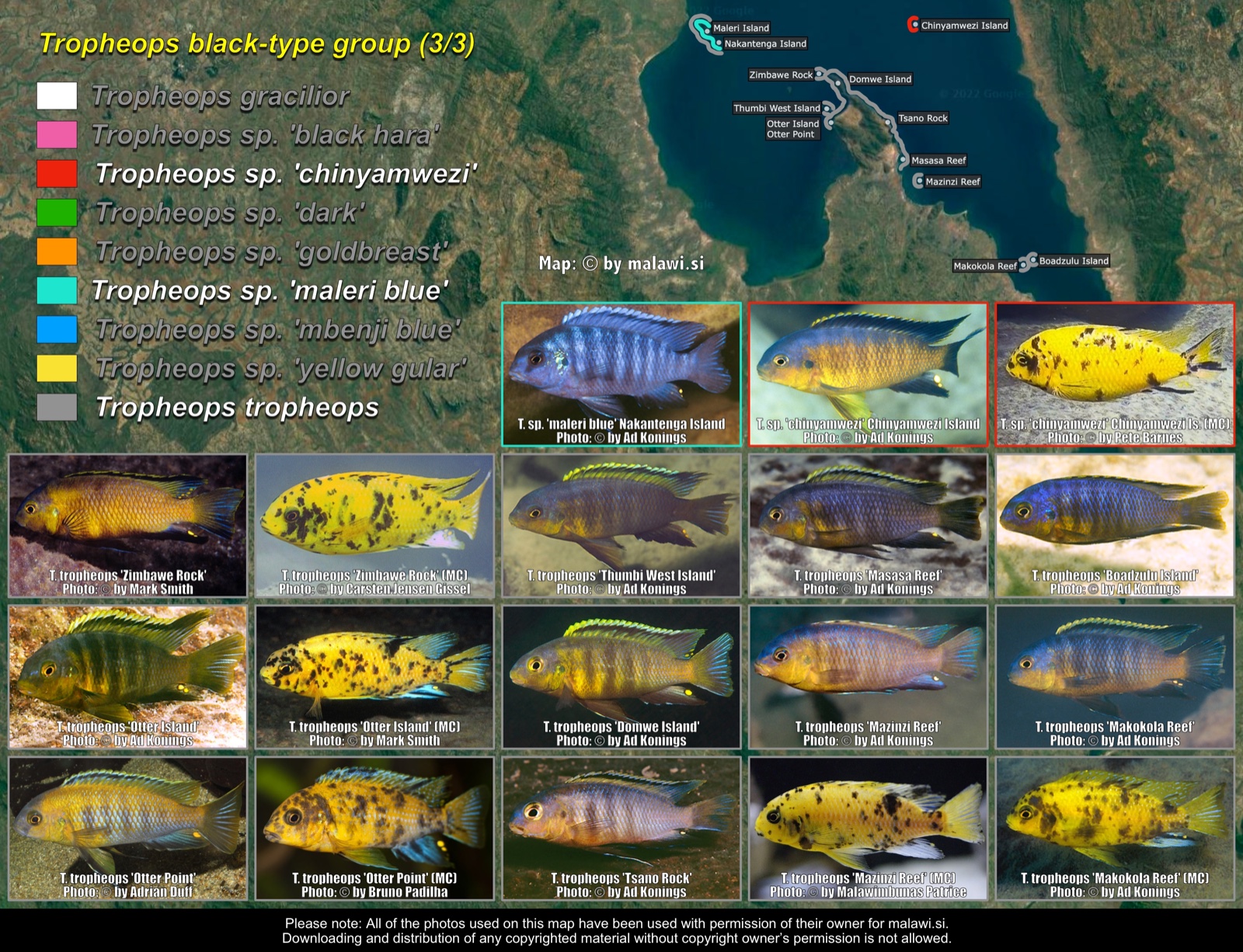 Tropheops black-type (3/3) distribution map