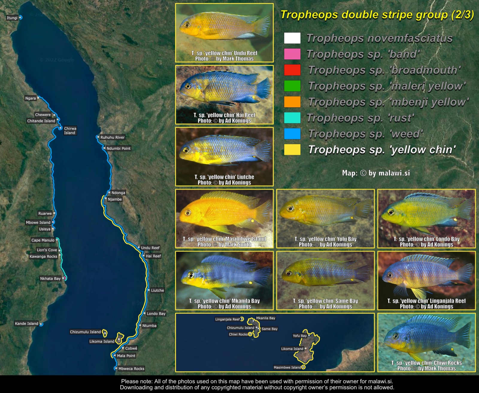 Tropheops double stripe group (2/3) distribution map