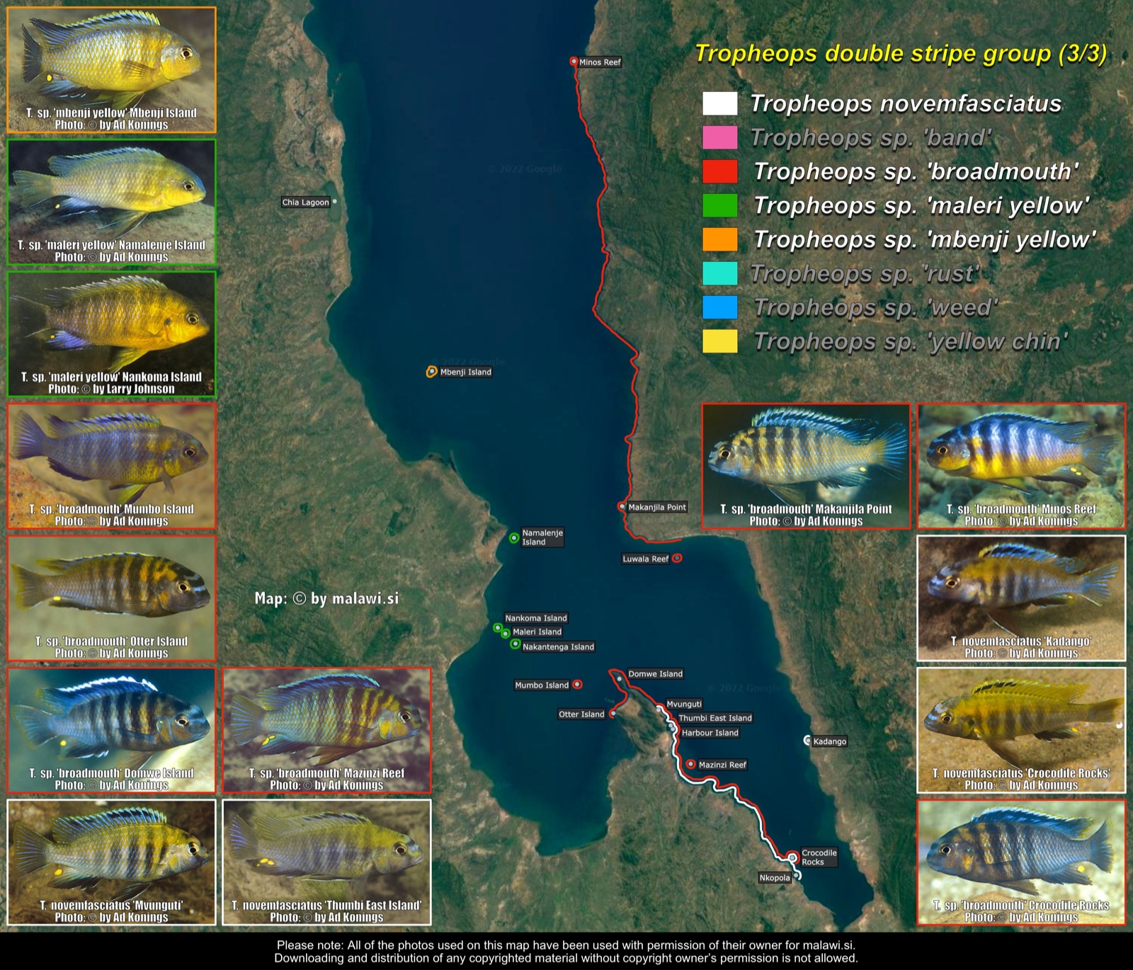 Tropheops double stripe group (3/3) distribution map