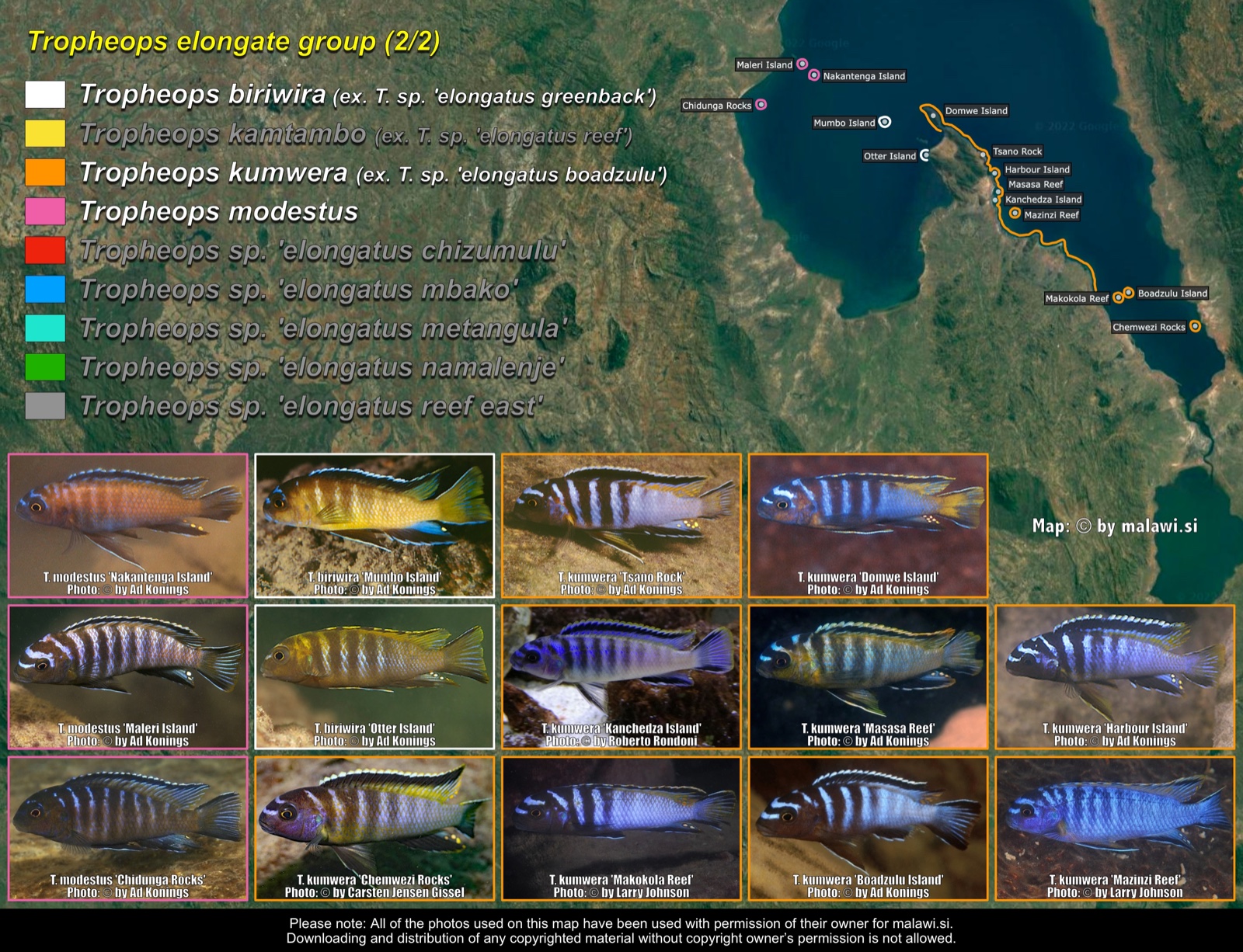 Tropheops elongate group (2/2) distribution map