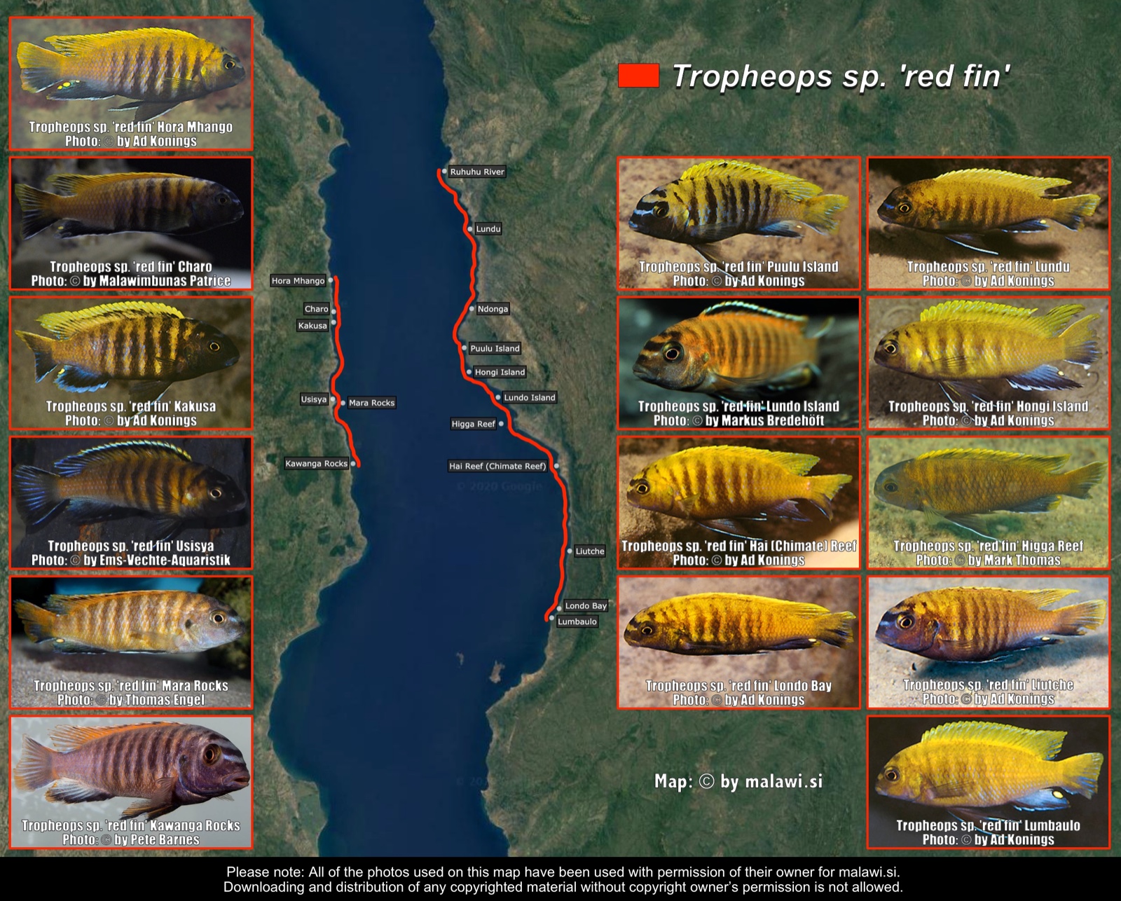 Tropheops sp. 'red fin' distribution map
