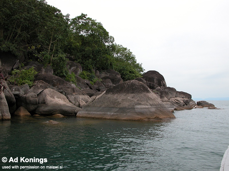Ndonga, Lake Malawi, Tanzania