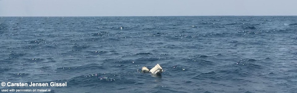 Tchinga Reef, Lake Malawi, Malawi