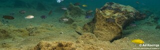 Gallireya Reef.jpg
