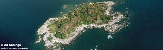 Puulu.jpg