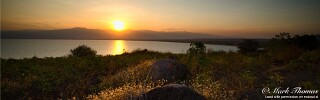 Youngs Bay.jpg