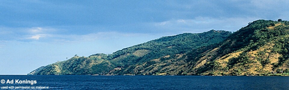 Chadagha, Lake Malawi, Malawi