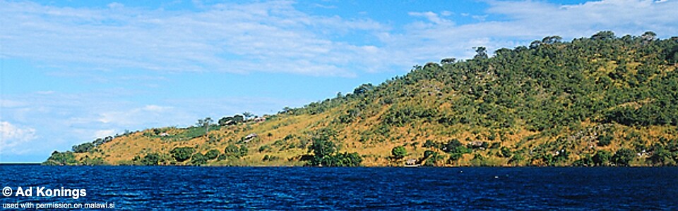 Chewere, Lake Malawi, Malawi