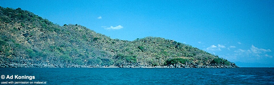 Chuwa, Lake Malawi, Tanzania