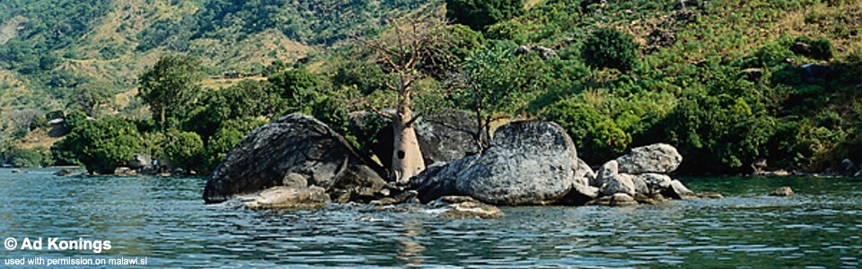 Mkondowe (Khondowe), Lake Malawi, Malawi
