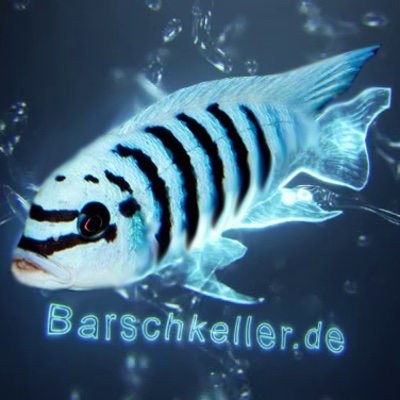 Barschkeller
