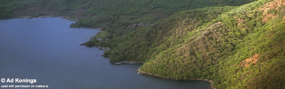 Chiloelo, Lake Malawi, Mozambique
