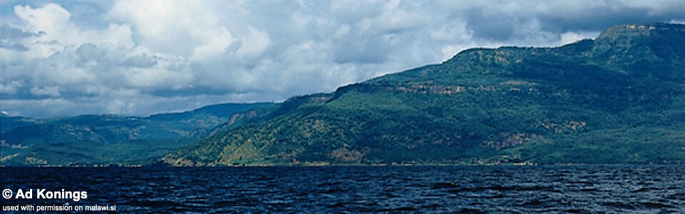 Chitimba Bay, Lake Malawi, Malawi