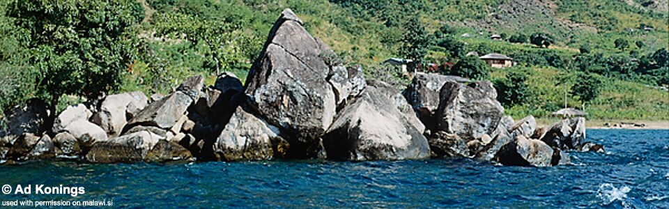 Hora Mhango, Lake Malawi, Malawi