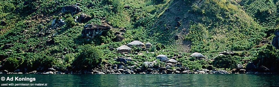 Kakusa, Lake Malawi, Malawi
