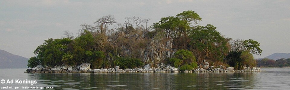 Kanchedza Island, Lake Malawi, Malawi