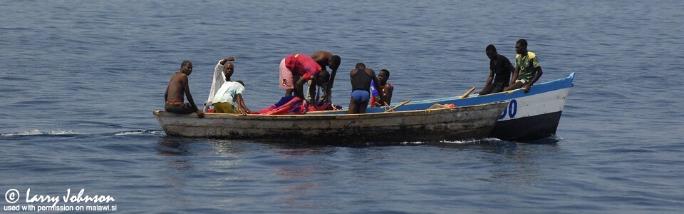Linganjala Reef, Lake Malawi, Malawi